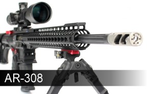 AR-308