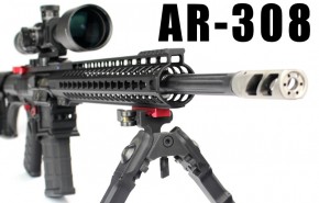 AR-308